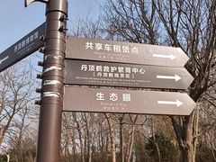 -盐城丹顶鹤湿地生态旅游区