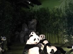 -成都泰迪熊博物馆