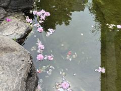 -江宁织造博物馆