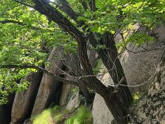 -吉林市朱雀山国家森林公园