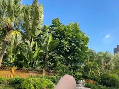 -碧桂园润杨溪谷温泉酒店