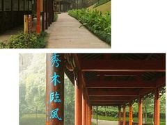 -重庆彩云湖湿地公园