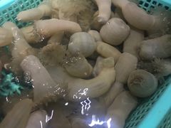-海蓝海鲜馆(五四北店)