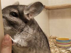 -龙猫仔乐园(惠福东路店)