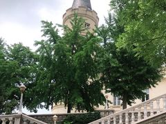 -北京张裕爱斐堡酒庄
