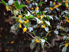 -苏州本色美术馆