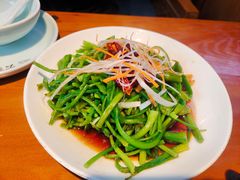 -菌自由丨野生菌火锅特色庭院餐厅(丽江古城店)