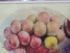 -马陆小张葡萄园农家乐