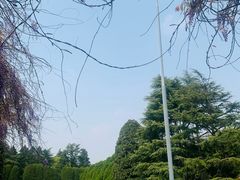 -宋庆龄陵园