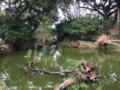 -九龙公园