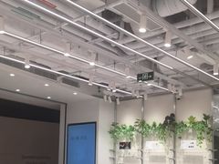 -JINS(上海环球金融中心店)