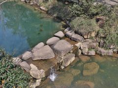 -慧娟面馆·餐厅(望江路店)