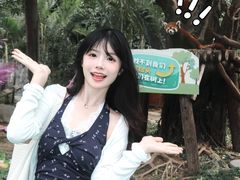 -灵玲国际马戏城