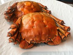 -津门小红坊海鲜·海胆饺子(滨海开发区店)