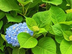 -长江文明馆
