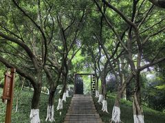 -龙头寺公园