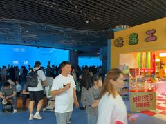 -海合安成都极地海洋公园