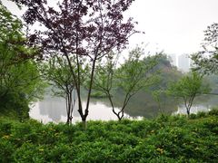 -重庆彩云湖湿地公园