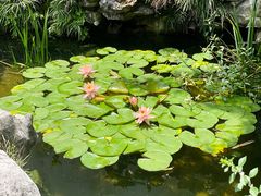 -美味之家·湖景农家乐(太湖东山店)