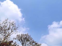 -徐州绿地皇冠假日酒店-汉宫中餐厅