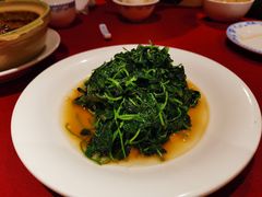 -老吉士酒家(天平路店)