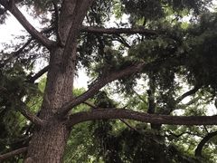 -山东大学(千佛山校区)