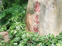 -罗三妹山