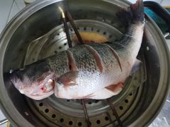 -T11生鲜超市(朝阳公园店)