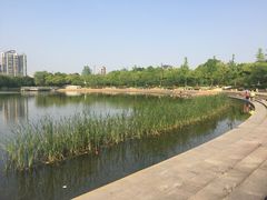 -新江湾城公园
