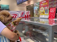 -DQ·蛋糕·冰淇淋(三亚青春颂店)