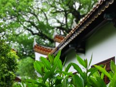 -南岳衡山风景名胜区-南岳大庙