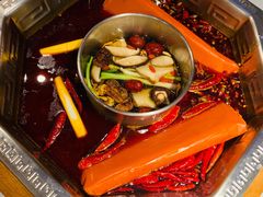 -蜀九香火锅(九眼桥店)