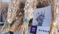 -太湖雪蚕桑文化园