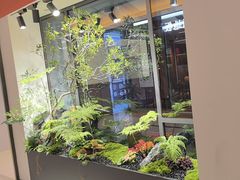 -红星美凯龙(上海沪南店)