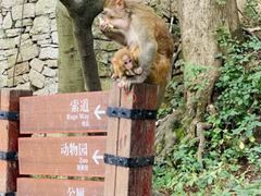 -黔灵山公园-南门售票处