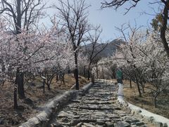 -阳台山自然风景区