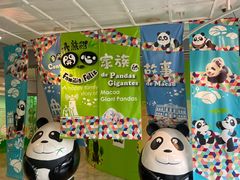 -石排湾郊野公园