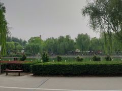 -康庄公园