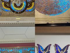 -上海昆虫博物馆