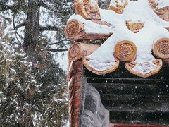 -颐和园