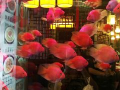 android_upload_pic-宴桃园(门头沟店)