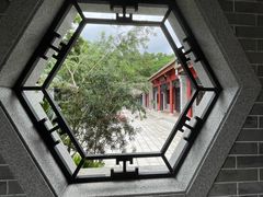 -顺峰山公园
