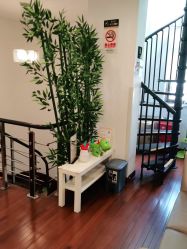 -圣瑞医疗上海圣恩儿科门诊部