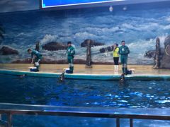 -福州罗源湾海洋世界旅游区