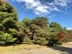 -京都御所