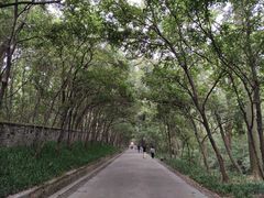 -灵谷景区