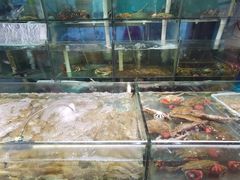 -金地利海鲜酒楼(清凉门店)
