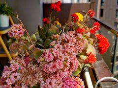 -双季花艺园艺市场(浦东店)