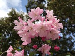 -上海虹桥迎宾馆
