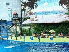 -海合安天津极地海洋公园